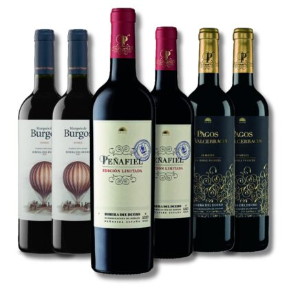 Ribera Del Duero (6 bottles)
