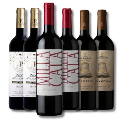 Big and Bold (6 bottles)