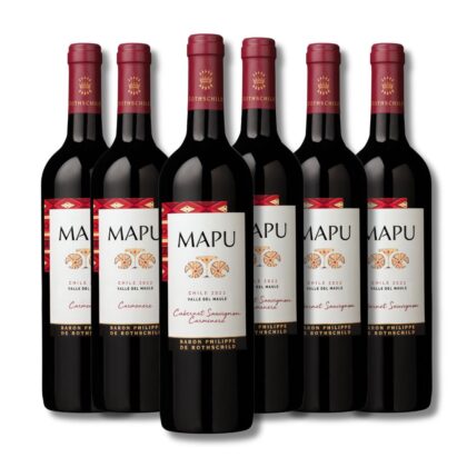 The Chilean Baron (6 bottles)